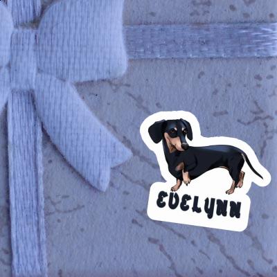 Sticker Evelynn Dachshund Gift package Image