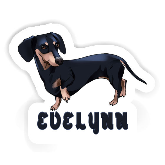 Sticker Evelynn Dachshund Gift package Image