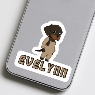 Sticker Evelynn Deutsch Drahthaar Gift package Image