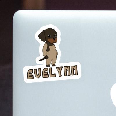 Sticker German Wirehaired Evelynn Image