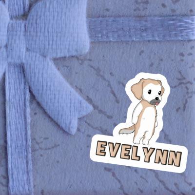 Aufkleber Evelynn Golden Retriever Notebook Image