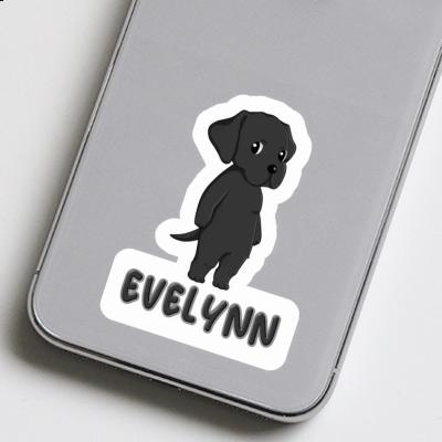 Sticker Evelynn Labrador Retriever Laptop Image