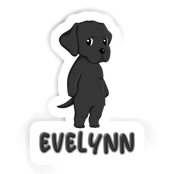 Aufkleber Evelynn Labrador Laptop Image