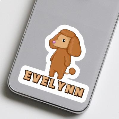 Sticker Evelynn Poodle Image