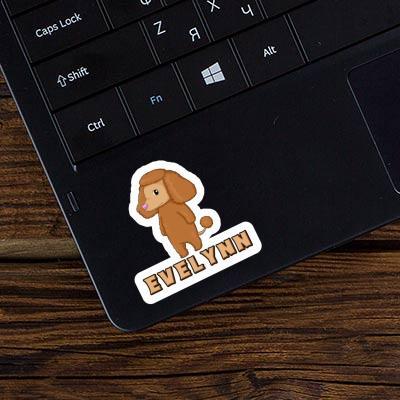 Sticker Evelynn Poodle Gift package Image