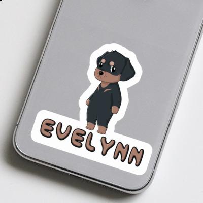 Autocollant Rottweiler Evelynn Gift package Image