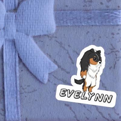 Aufkleber Evelynn Shetland Sheepdog Gift package Image