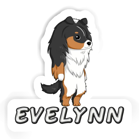 Aufkleber Evelynn Shetland Sheepdog Image