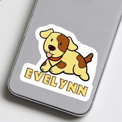 Autocollant Chien Evelynn Gift package Image