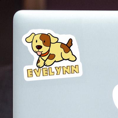 Dog Sticker Evelynn Gift package Image