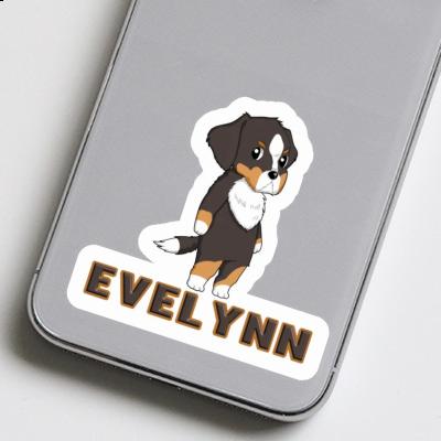 Evelynn Sticker Bernese Mountain Dog Image