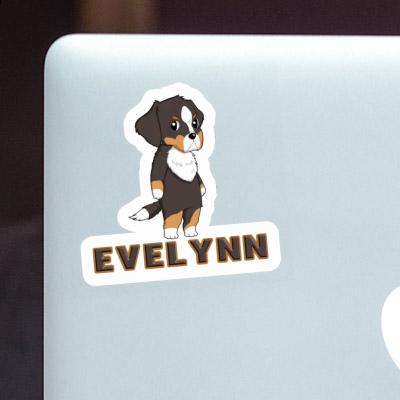 Sticker Berner Sennenhund Evelynn Laptop Image