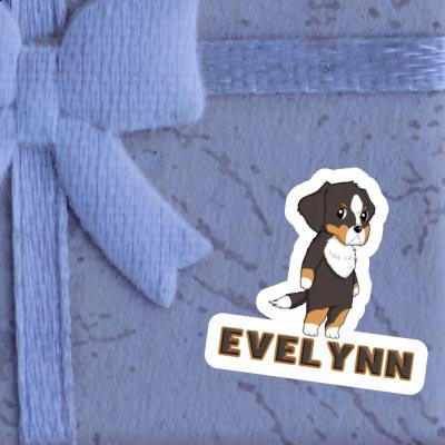 Evelynn Sticker Bernese Mountain Dog Laptop Image