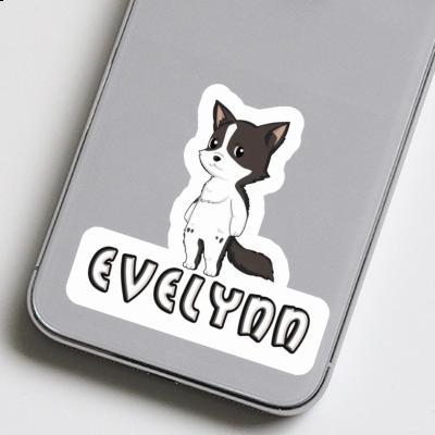 Aufkleber Border Collie Evelynn Gift package Image