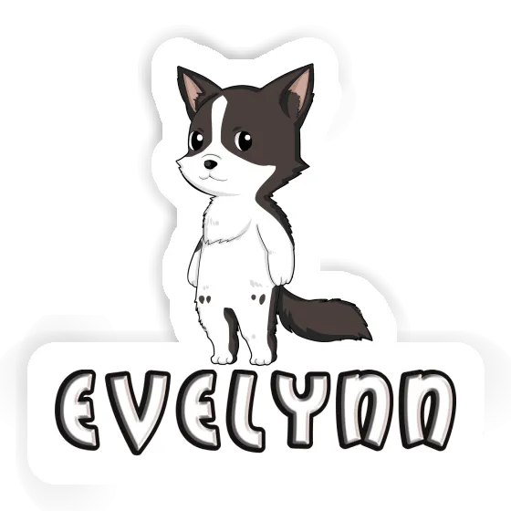 Aufkleber Border Collie Evelynn Gift package Image