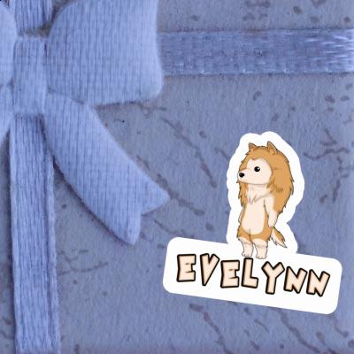 Evelynn Aufkleber Collie Gift package Image