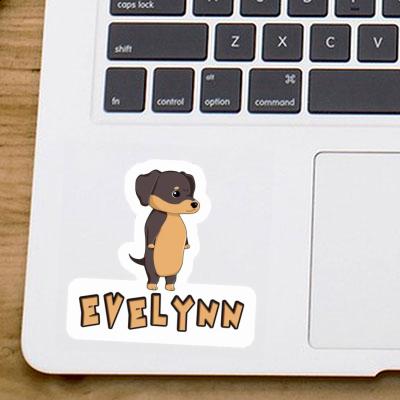 Sticker Evelynn Dachshund Gift package Image