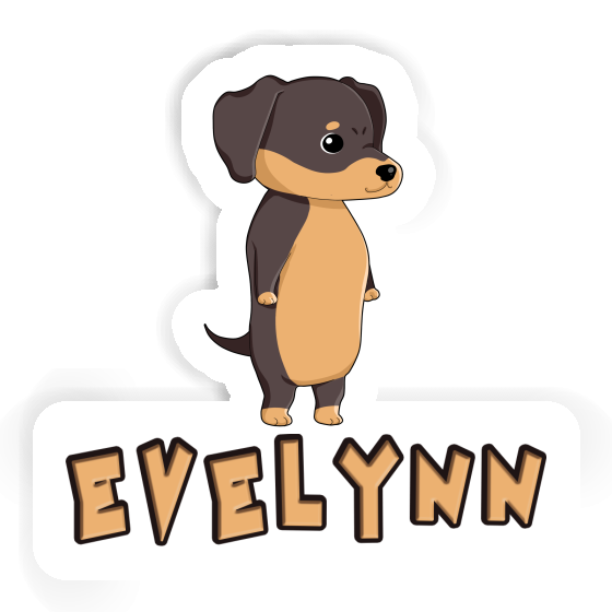 Sticker Evelynn Dachshund Image