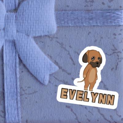 Evelynn Autocollant Dogue allemand Laptop Image