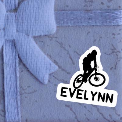 Evelynn Sticker Downhiller Gift package Image