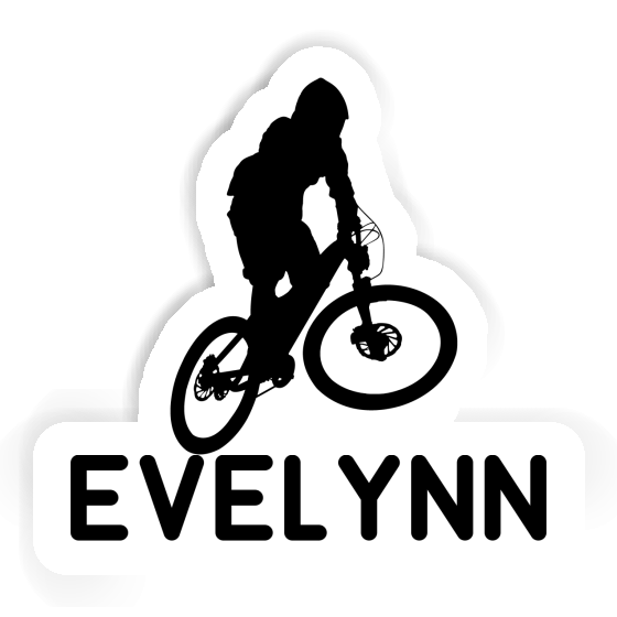 Downhiller Sticker Evelynn Gift package Image