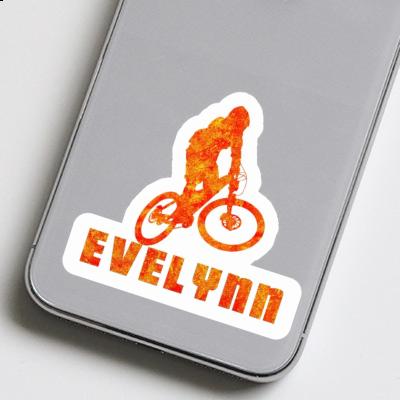 Evelynn Sticker Downhiller Gift package Image