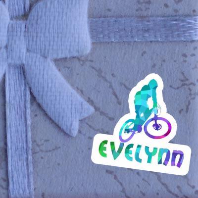 Sticker Evelynn Downhiller Gift package Image