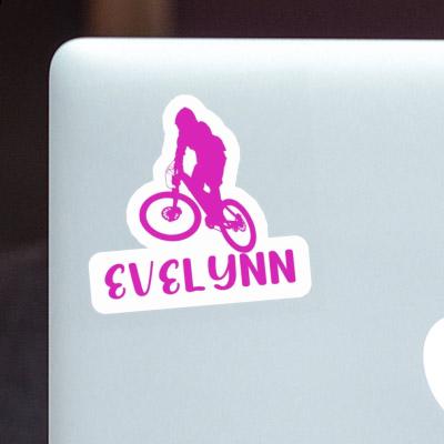 Evelynn Sticker Downhiller Gift package Image