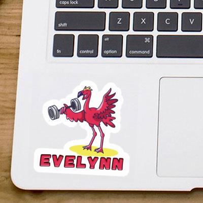 Sticker Evelynn Weight Lifter Gift package Image