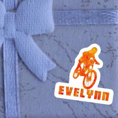 Evelynn Sticker Freeride Biker Gift package Image