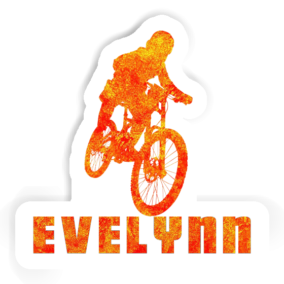 Evelynn Sticker Freeride Biker Gift package Image