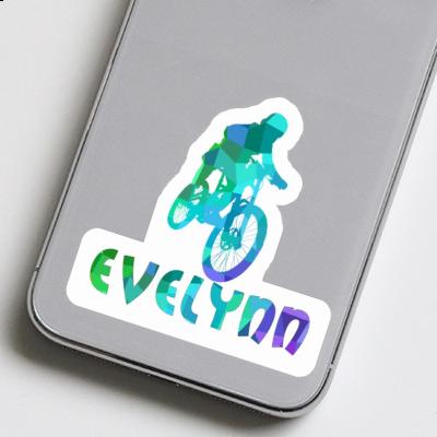 Freeride Biker Aufkleber Evelynn Gift package Image