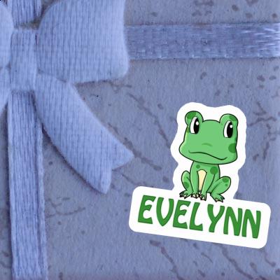 Autocollant Grenouille Evelynn Gift package Image