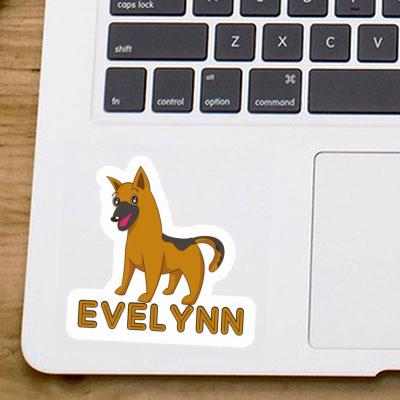 Chien de berger Autocollant Evelynn Gift package Image