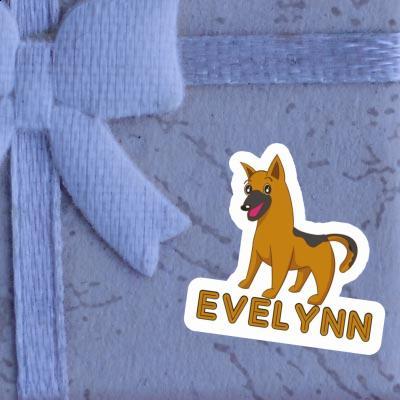 Chien de berger Autocollant Evelynn Gift package Image