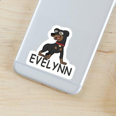 Evelynn Sticker German Pinscher Gift package Image