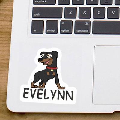 Evelynn Sticker German Pinscher Image