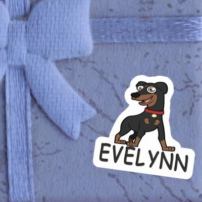 Evelynn Sticker German Pinscher Gift package Image