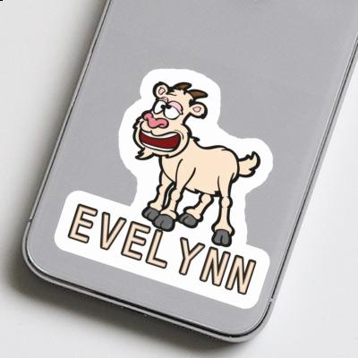 Sticker Goat Evelynn Gift package Image