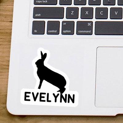 Sticker Evelynn Rabbit Gift package Image