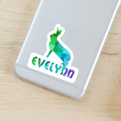 Autocollant Evelynn Lapin Laptop Image