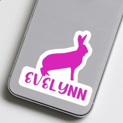 Sticker Evelynn Rabbit Gift package Image