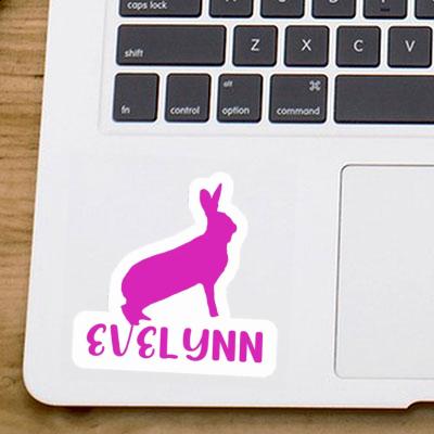 Sticker Evelynn Rabbit Gift package Image