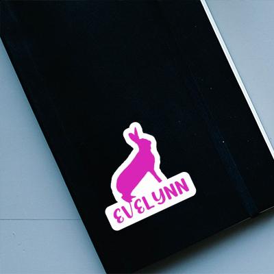 Sticker Evelynn Rabbit Notebook Image