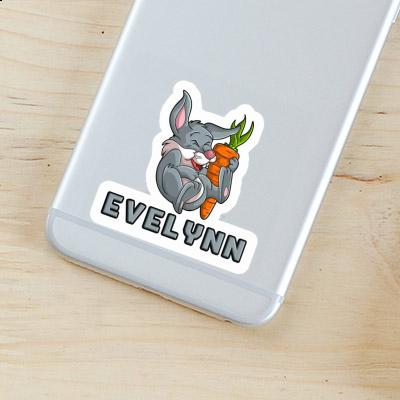 Evelynn Sticker Rabbits Gift package Image