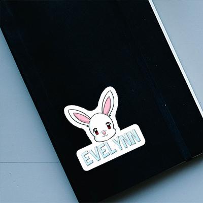 Rabbit Sticker Evelynn Image