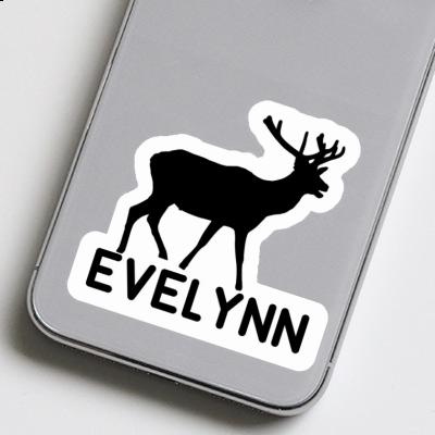 Sticker Hirsch Evelynn Gift package Image