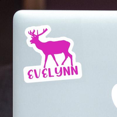 Evelynn Sticker Deer Notebook Image