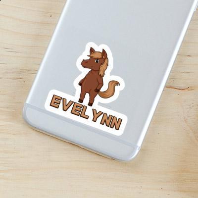 Evelynn Sticker Horse Gift package Image