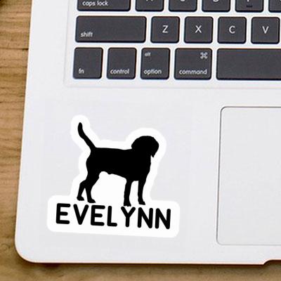 Evelynn Sticker Hund Laptop Image